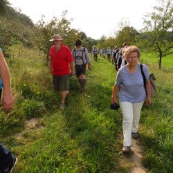 Auf dem Weg zum Bienenstand