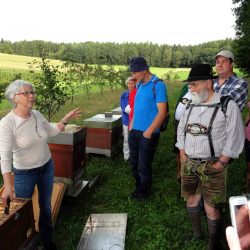 Erklärung der Betriebsweise